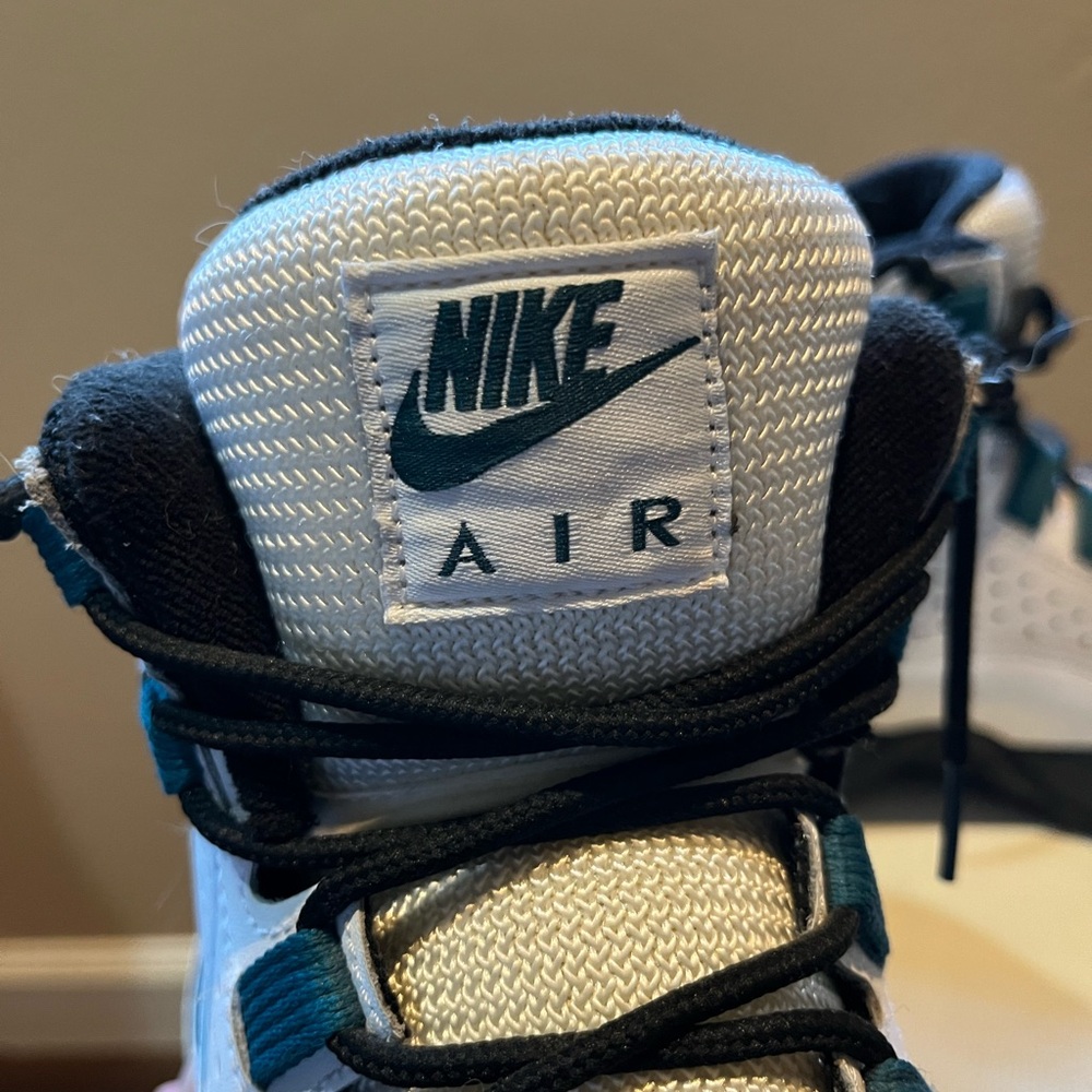 Men’s Nike Air Darwin Dennis Rodman